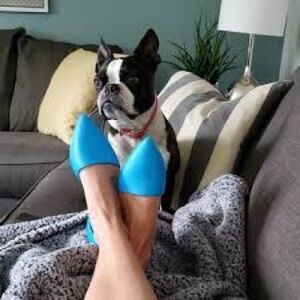 Native Shoes Size 6 Audrey Bloom Flats in Blue
